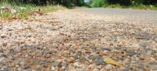 A View Of A Rural Tar Road In Sri Lanka. A Beautiful Green Environment With Sand, Grass And Various Plants. Stock Photos A View Of A Rural Tar Road In Sri Lanka. A Beautiful Green Environment With Sand, Grass And Various Plants. Stock Photos