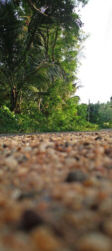 A View Of A Tarmac Road In Sri Lanka. A Beautiful Environment With Coconut Trees, Sand And Small Stones In The Green Background. Stock Photos A View Of A Tarmac Road In Sri Lanka. A Beautiful Environment With Coconut Trees, Sand And Small Stones In The Green Background. Stock Photos
