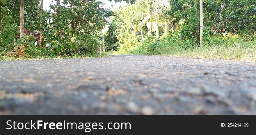 A view of a tarmac road in the morning with the evening sun rising in a rural setting in Sri Lanka. A green vision. Clear blue sky, grass and many other plants can be seen.