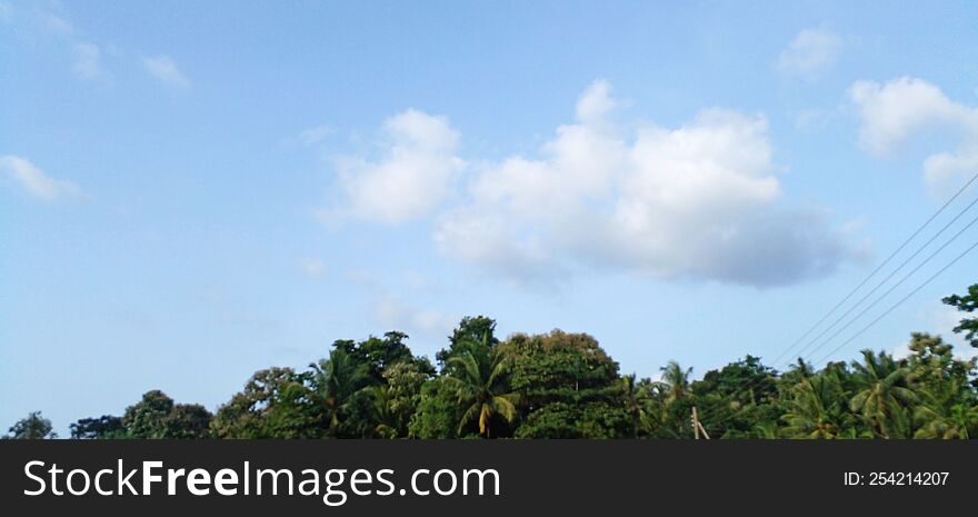 An Evening Sunset Scene With Clear Blue Clouds In A Rural Setting. A Beautiful Scene With Coconut Trees And Other Plants In The Ba