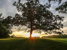 Sunrise In Wisconsin Countryside, With A Sunburst Beaming From Behind A Tree Stock Image Sunrise In Wisconsin Countryside, With A Sunburst Beaming From Behind A Tree Stock Image