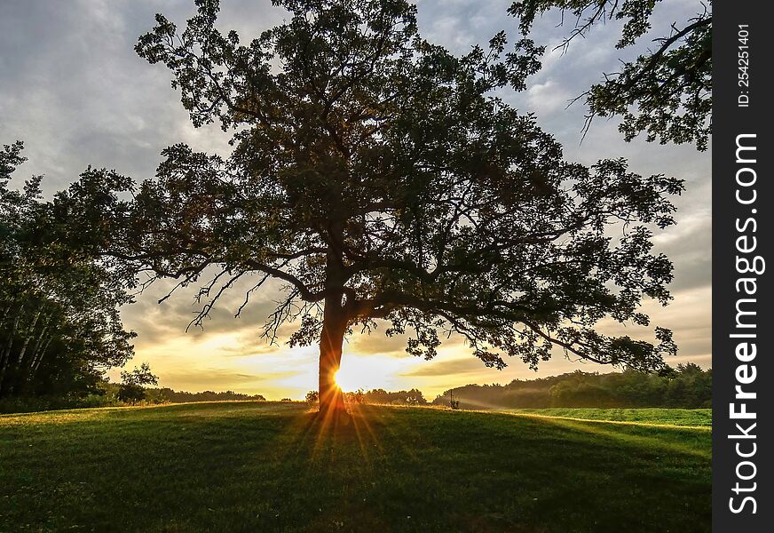 Sunrise In Wisconsin Countryside, With A Sunburst Beaming From Behind A Tree