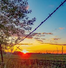 Brilliant Colorful Sunset Over A Field Of Soybean Crops In The Midwestern Wisconsin Countryside Stock Photo Brilliant Colorful Sunset Over A Field Of Soybean Crops In The Midwestern Wisconsin Countryside Stock Photo