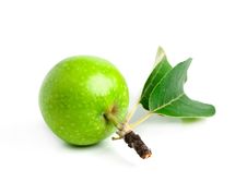 Green Apple With Leaves And Branch Stock Photo Green Apple With Leaves And Branch Stock Photo