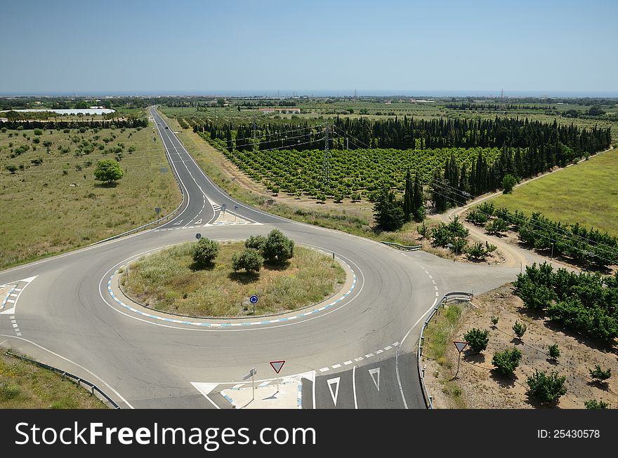 A Road Among The Plantations In Catalonia