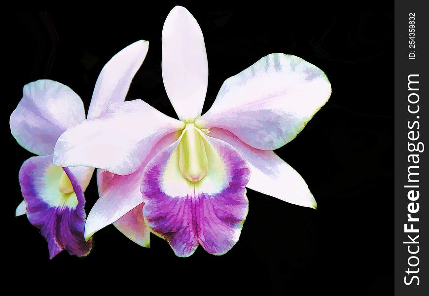 A Close Up Shoot Of A Flower