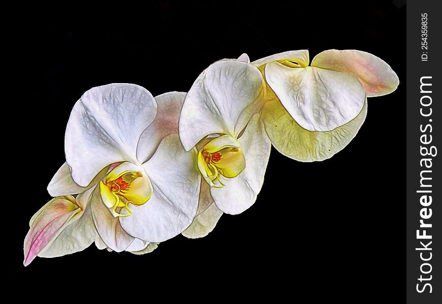 A close up shoot of a flower