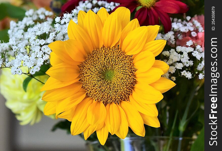 A Bright Sunflower That& X27 S Part Of A Bouquet