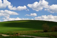 Shadows On The Meadow Royalty Free Stock Image Shadows On The Meadow Royalty Free Stock Image