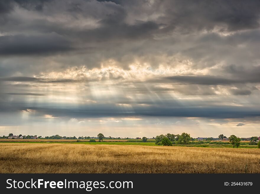 Cloudy sky over the grain field