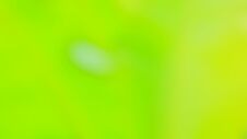 Blurred Abstract Green Nature Concept Background Design And Advertising Wallpaper Website Advertising Banner Stock Images Blurred Abstract Green Nature Concept Background Design And Advertising Wallpaper Website Advertising Banner Stock Images