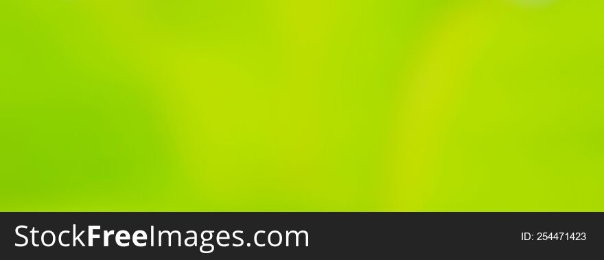 Blurred Abstract Green Nature Concept Background Design and Advertising Wallpaper  website advertising banner