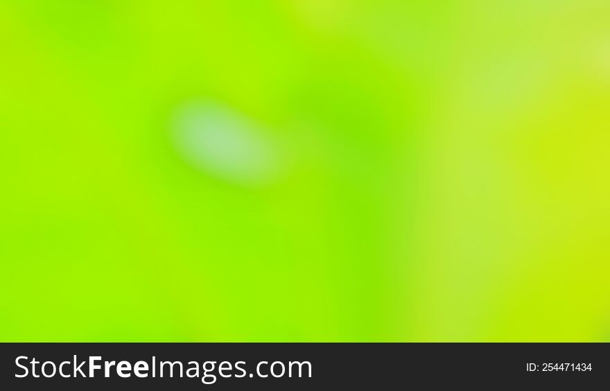 Blurred Abstract Green Nature Concept Background Design and Advertising Wallpaper  website advertising banner