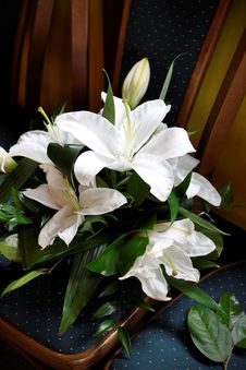 White Lilies Royalty Free Stock Images White Lilies Royalty Free Stock Images