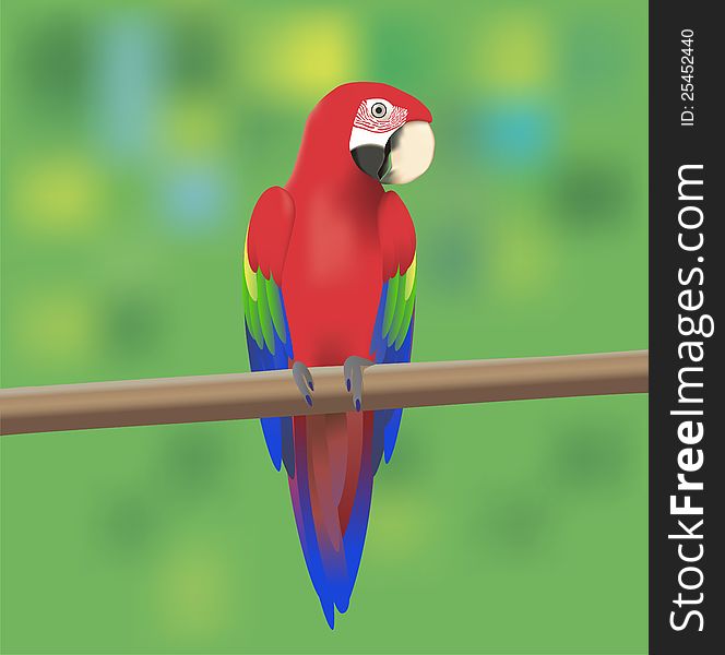 Red Macaw Parrot sitting on a branch