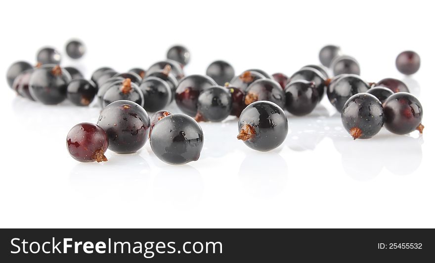 Black currant spilled on white background