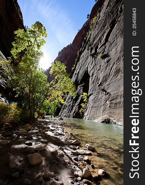 The Narrows river trail in Zion National Park, Utah. The Narrows river trail in Zion National Park, Utah