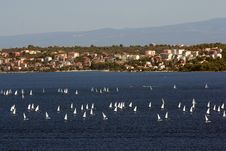 Sailing-ships Royalty Free Stock Photography Sailing-ships Royalty Free Stock Photography