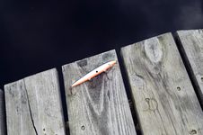 Fishing Lure  Green And Orange Royalty Free Stock Images