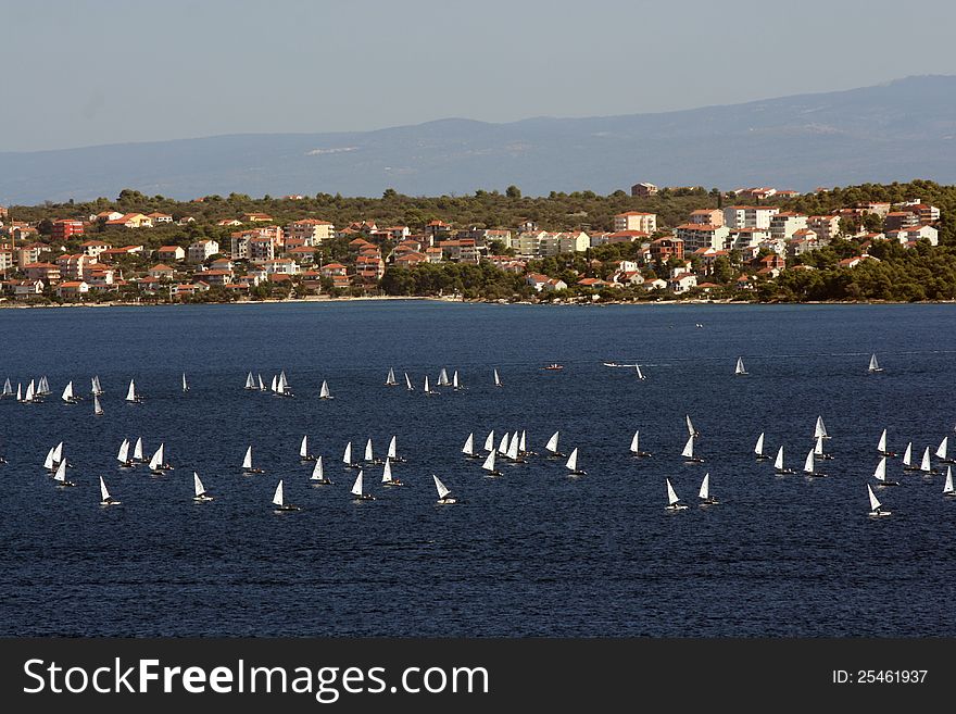 Many sailing-ships near croatian coast