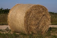 Bales Of Hay Stock Photo Bales Of Hay Stock Photo