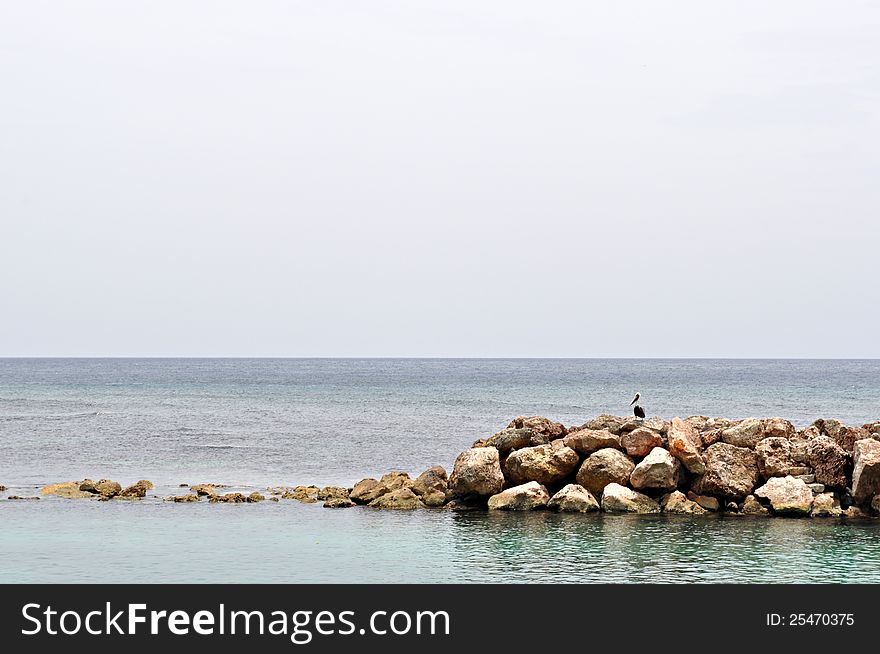 A bird sitting on a rocky reef looking out into the ocean. A bird sitting on a rocky reef looking out into the ocean.