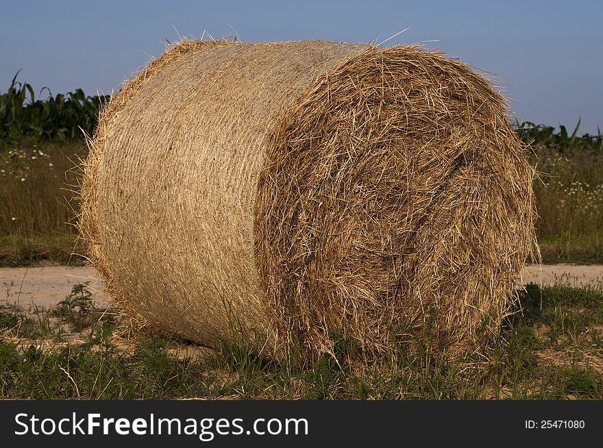 A bale of hay in the meadow. A bale of hay in the meadow