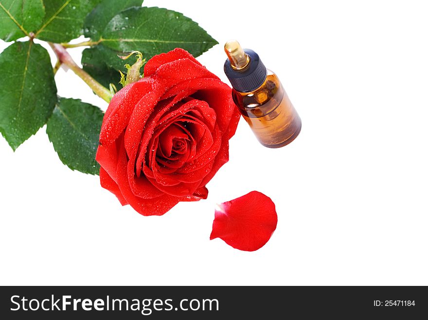 Bottles of essential oil and red rose
