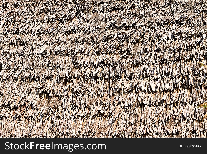 Thatched palm leaf roof