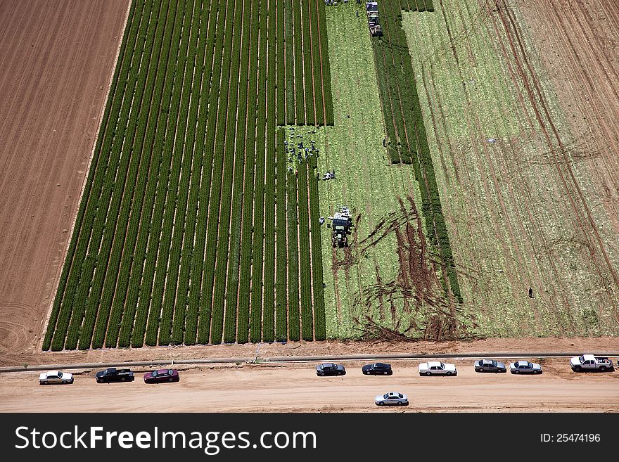 Working the farm fields at harvest time. Working the farm fields at harvest time