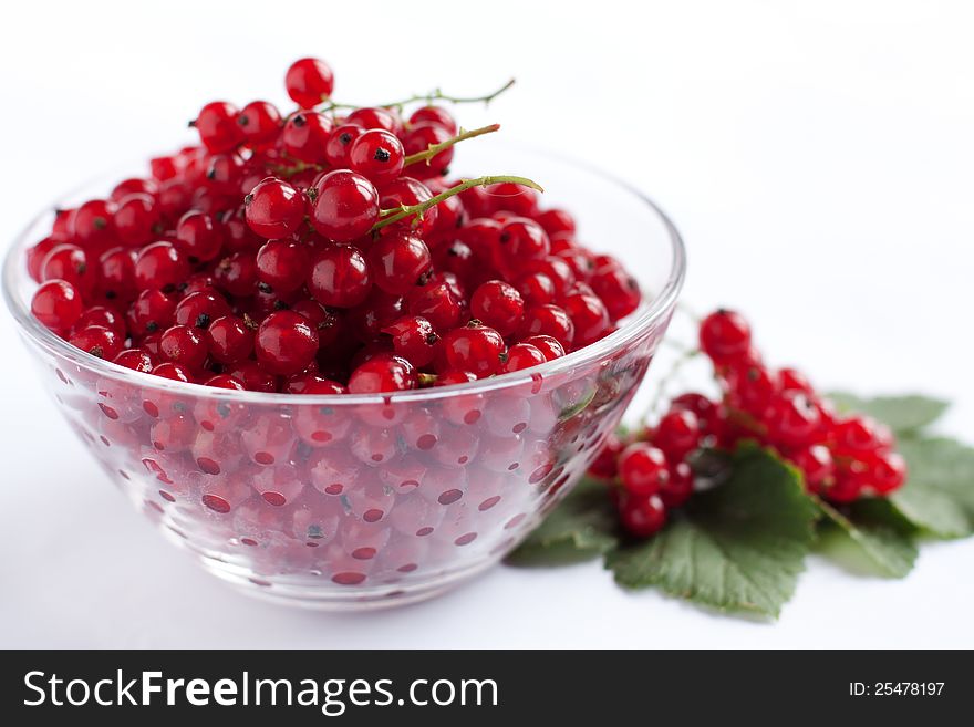 Ripe Red Currant