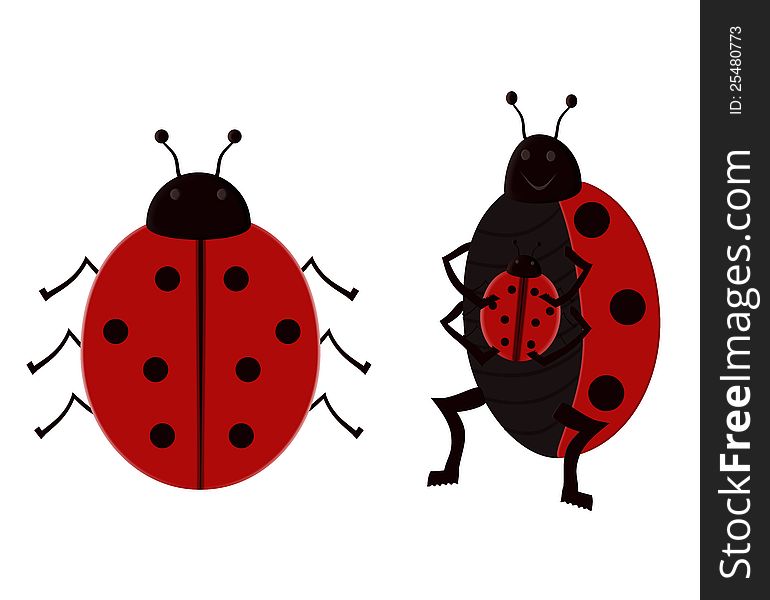 Illustrated Ladybugs