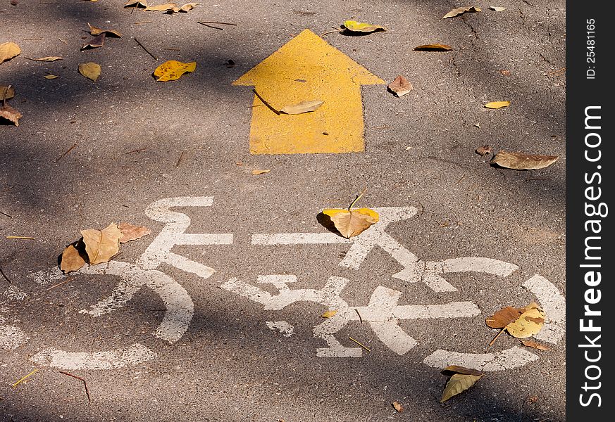 Yellow arrows and bicycle sign path on the road