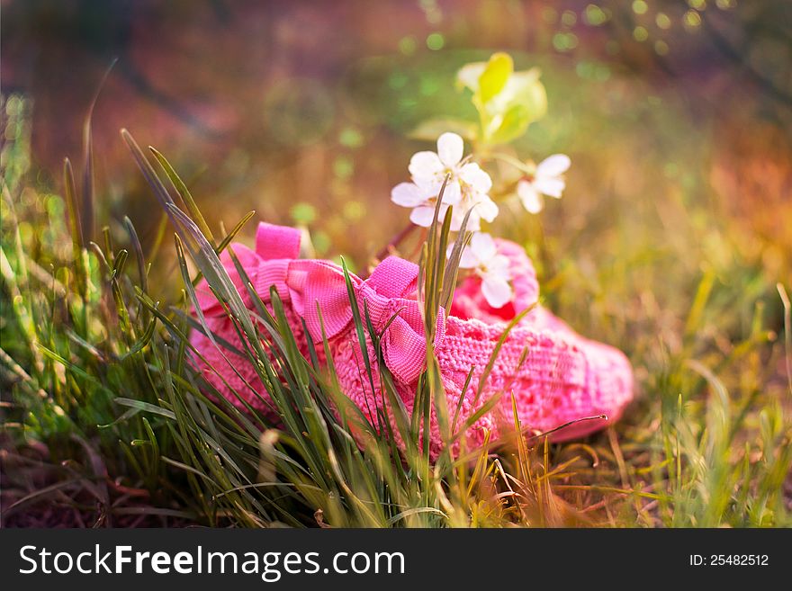 Bright pink baby shoes on the green grass