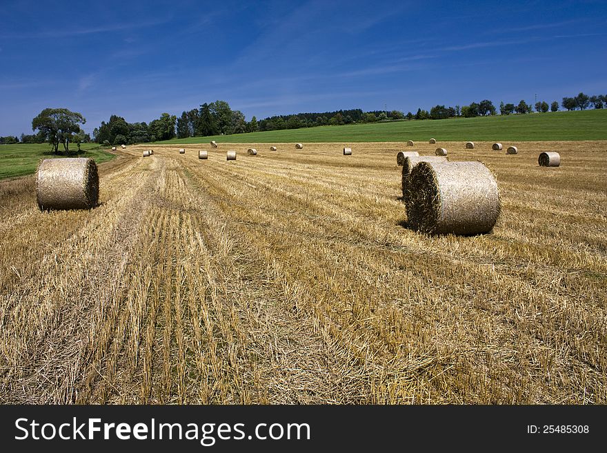 Harvested fields