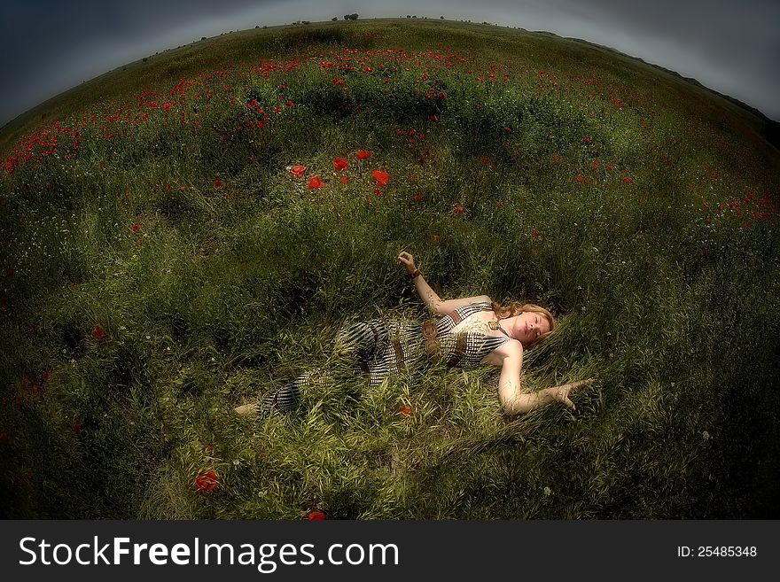 The girl was asleep in a field of poppies. The girl was asleep in a field of poppies.