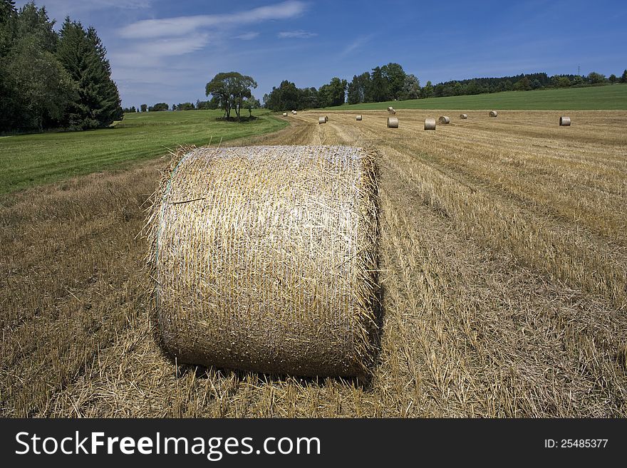 Harvested fields with round straw bales, summer agricultural landscape of post-harvest