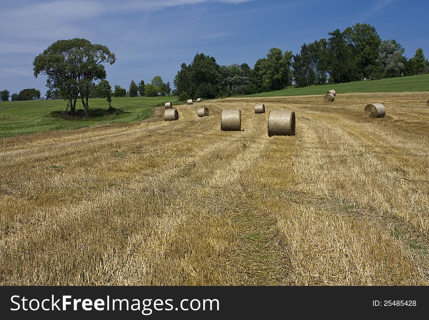 Round bales on harvested field. Round bales on harvested field