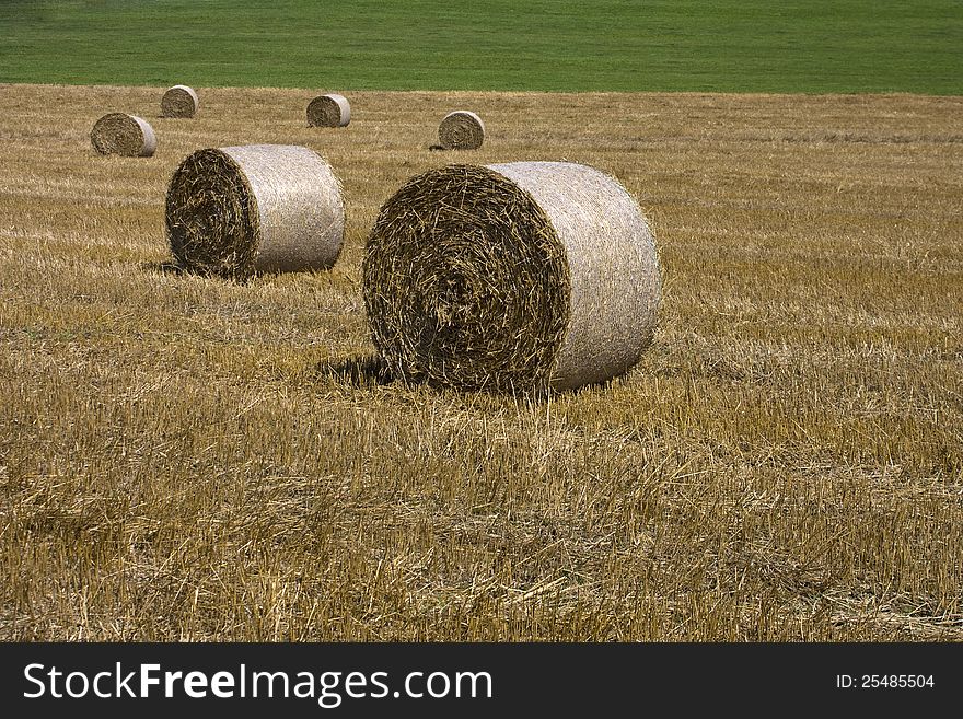 Six bales of straw on harvested fields. Six bales of straw on harvested fields