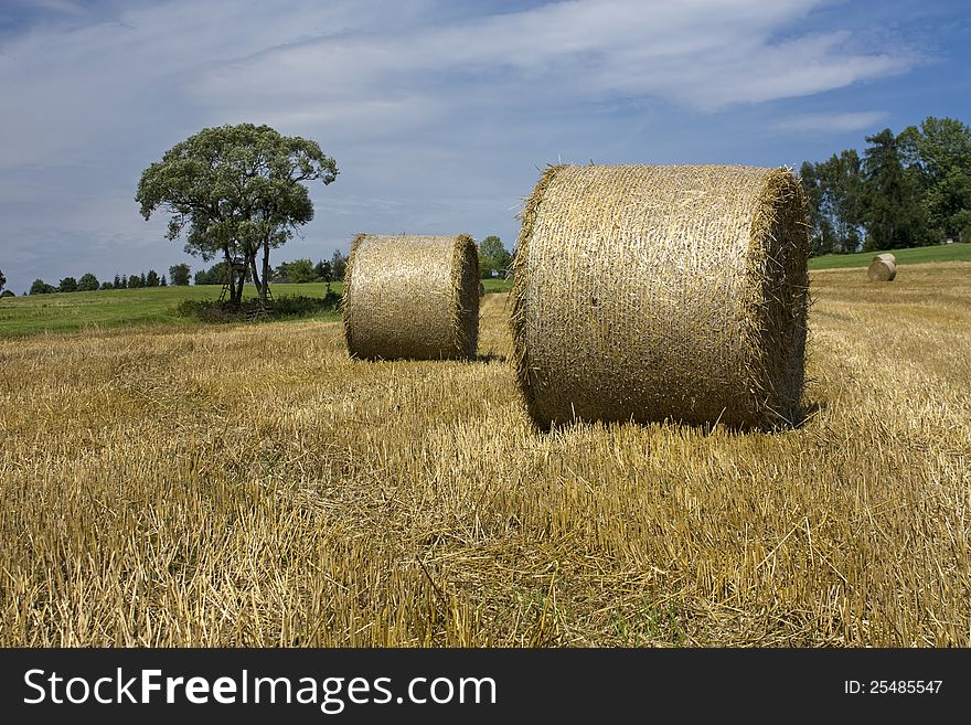 Round bales on harvested field. Round bales on harvested field