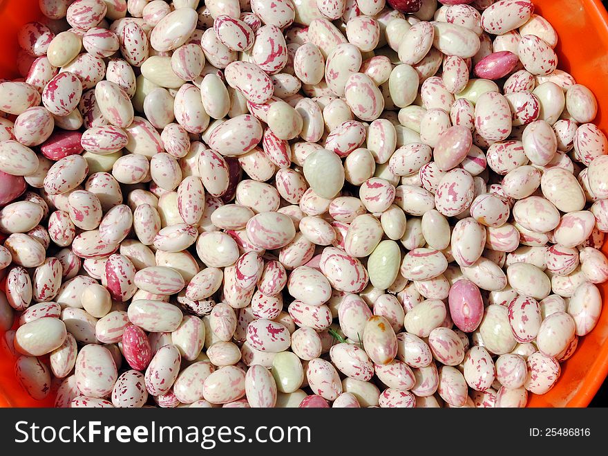 White fresh organic beans, useful as background