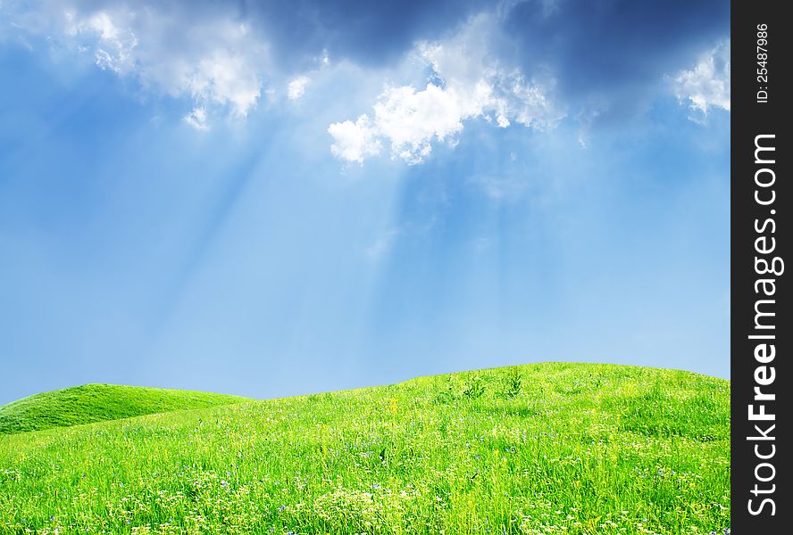 Summer meadow on bright sunny day. Summer meadow on bright sunny day.