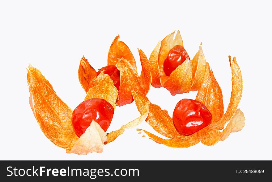 Physalis on a white background