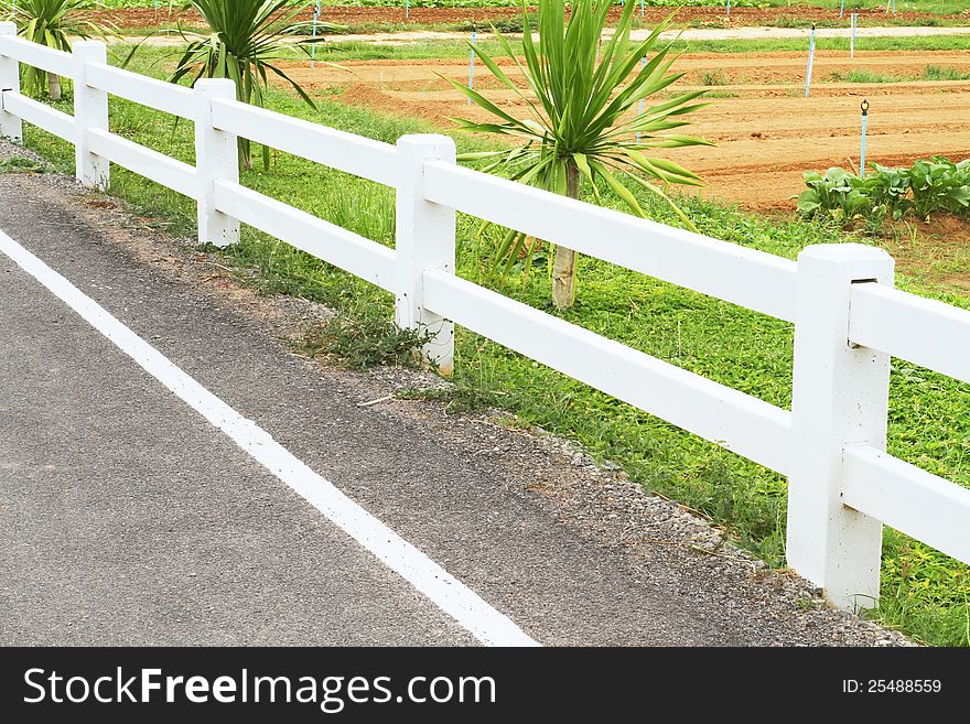 Concrete Fence