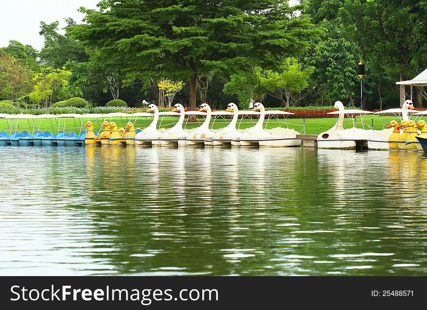 Row of water cycle boat in the park