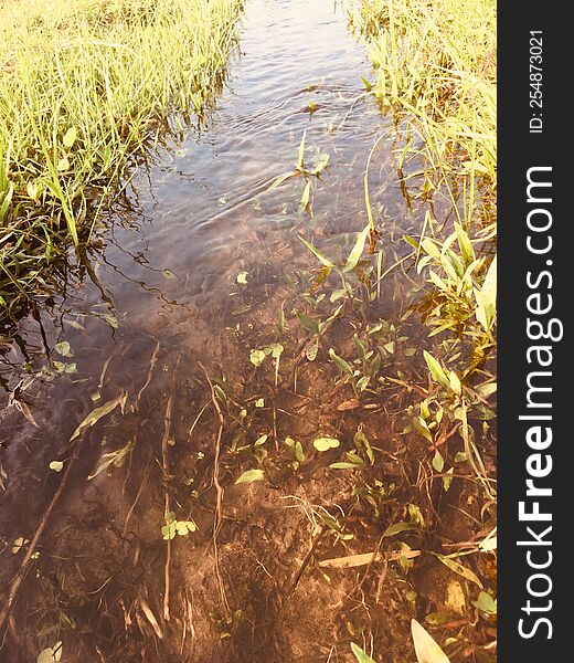 Fileds Pond Branch Water Agriculture