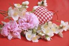 Jasmine Stock Photography