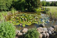 Beautiful Classical Garden Fish Pond Stock Photo