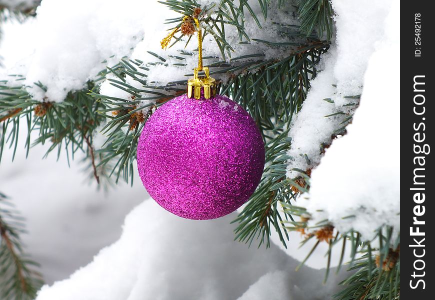 Pink shiny ornament on natural trees under snow, photo. Pink shiny ornament on natural trees under snow, photo