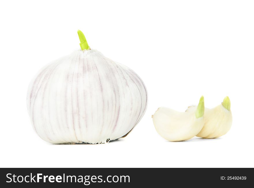 Garlic with 2 peeled garlic cloves on white background. Garlic with 2 peeled garlic cloves on white background